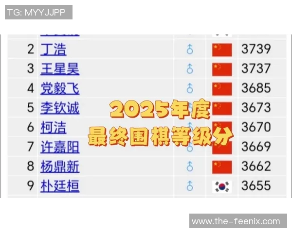围棋等级分最新排名揭晓各大棋手表现分析与未来展望